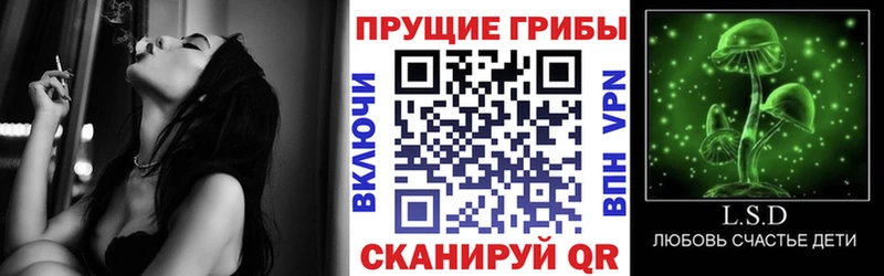 Галлюциногенные грибы Cubensis  Купить  Дудинка 